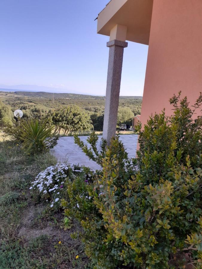 Agriturismo Gli Olivastri Appartamento Raggio Di Sole , Con Piscina E Vista Mare ,Climatizzatore,Wifi Aglientu Zewnętrze zdjęcie
