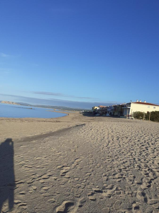 Agriturismo Gli Olivastri Appartamento Raggio Di Sole , Con Piscina E Vista Mare ,Climatizzatore,Wifi Aglientu Zewnętrze zdjęcie