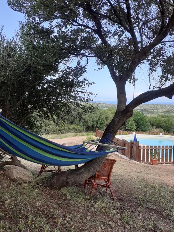 Agriturismo Gli Olivastri Appartamento Raggio Di Sole , Con Piscina E Vista Mare ,Climatizzatore,Wifi Aglientu Zewnętrze zdjęcie