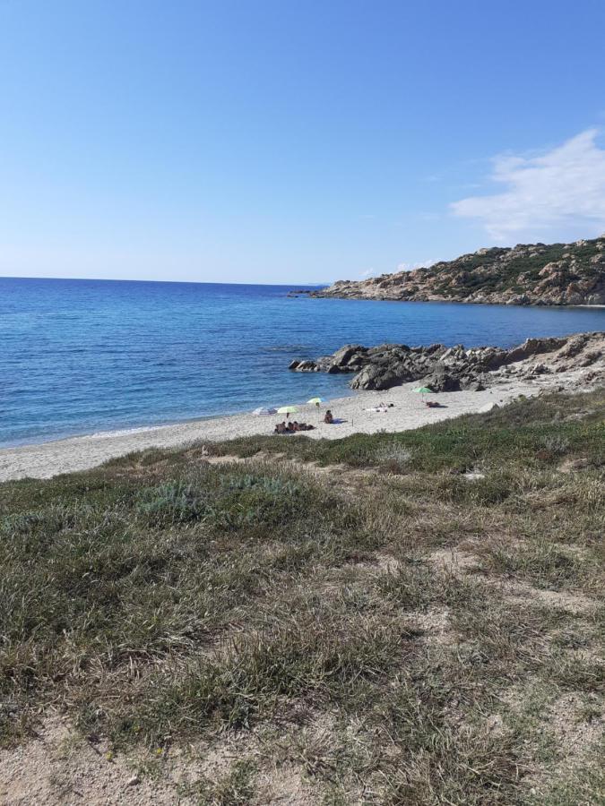 Agriturismo Gli Olivastri Appartamento Raggio Di Sole , Con Piscina E Vista Mare ,Climatizzatore,Wifi Aglientu Zewnętrze zdjęcie