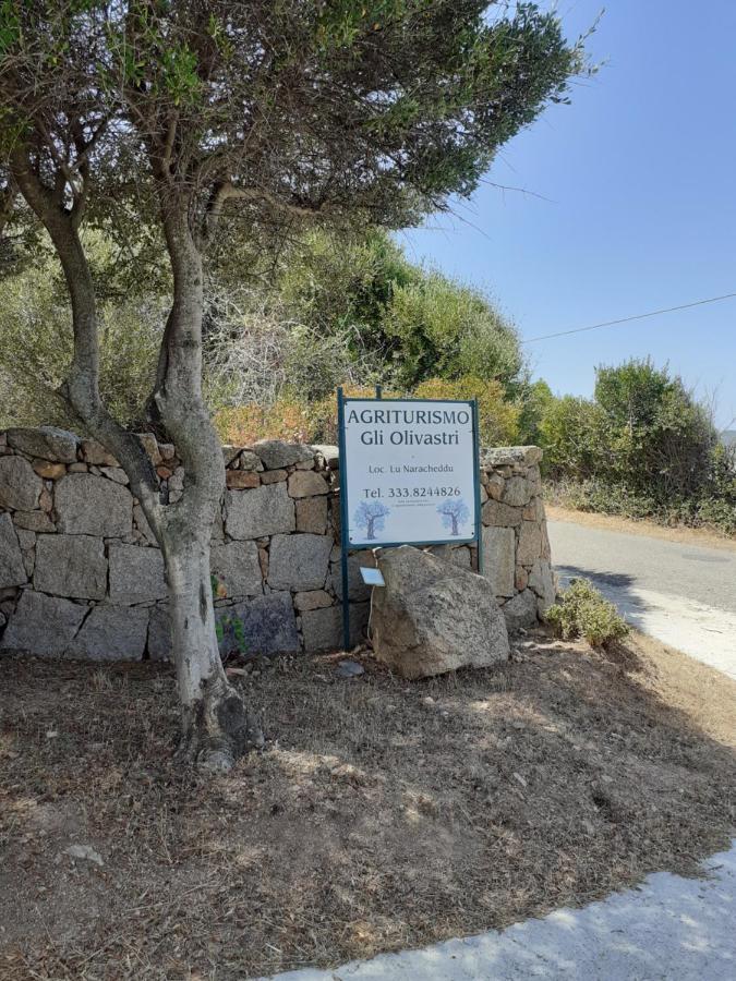 Agriturismo Gli Olivastri Appartamento Raggio Di Sole , Con Piscina E Vista Mare ,Climatizzatore,Wifi Aglientu Zewnętrze zdjęcie