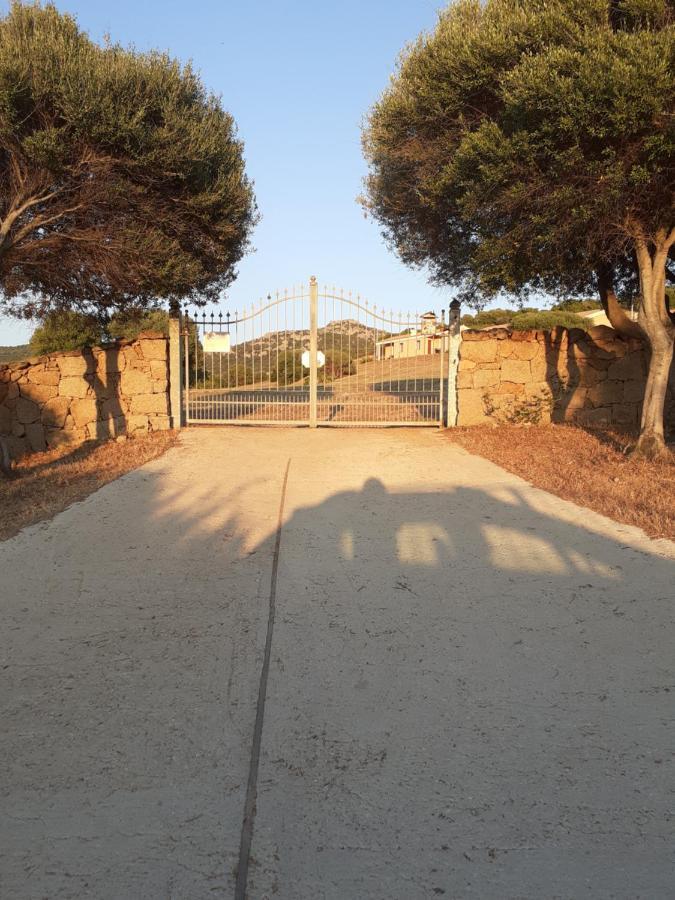 Agriturismo Gli Olivastri Appartamento Raggio Di Sole , Con Piscina E Vista Mare ,Climatizzatore,Wifi Aglientu Zewnętrze zdjęcie